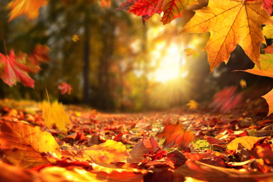 Klussen in en om het huis in de herfst