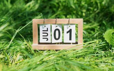 Meer inkomen vanaf 1 juli: AOW, WIA, Wajong en bijstand stijgen mee.